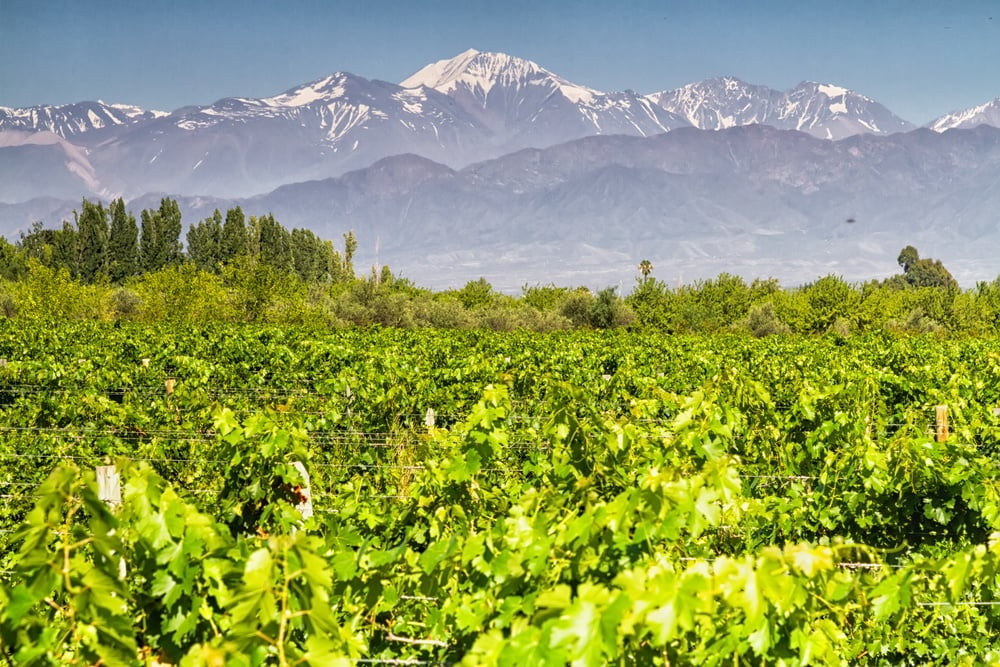 Maipu Mendoza