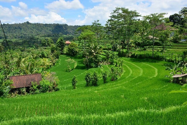 Sidemen in bali