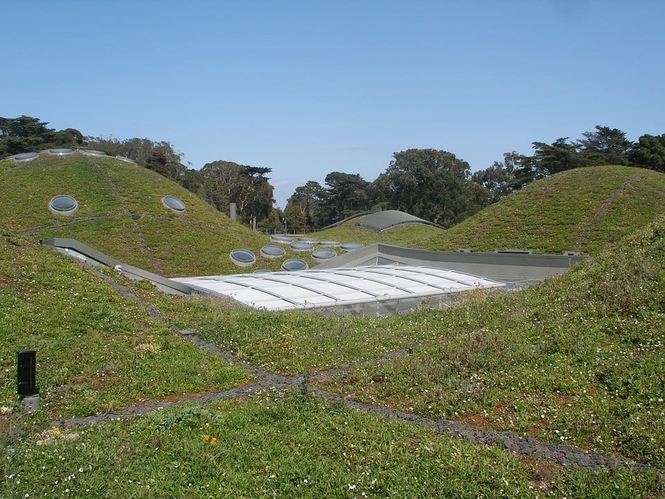 The California Academy of Sciences