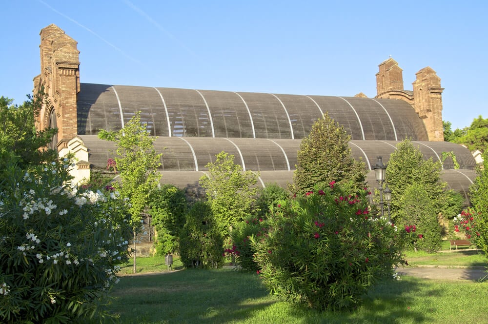 The Umbracle