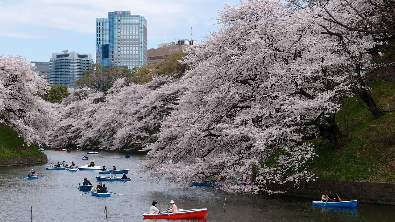 Tokyo Itinerary