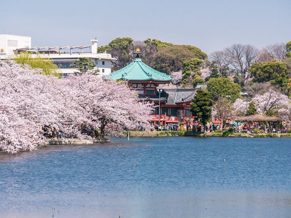 Ueno Park Gardens