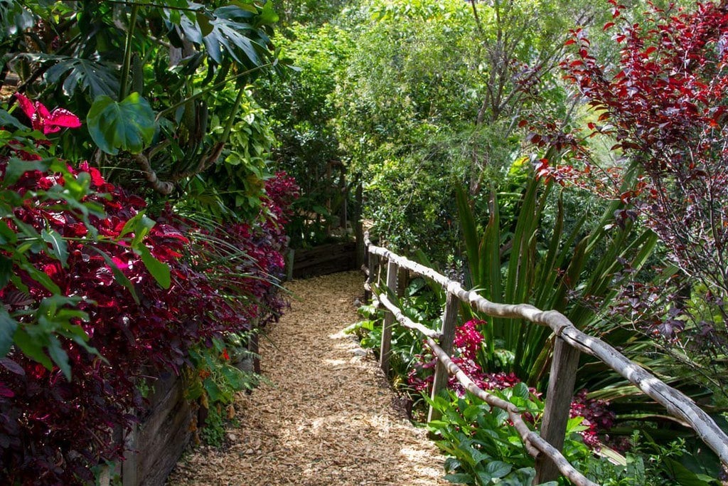 Wendy’s Secret Garden - a beautiful place in Sydney