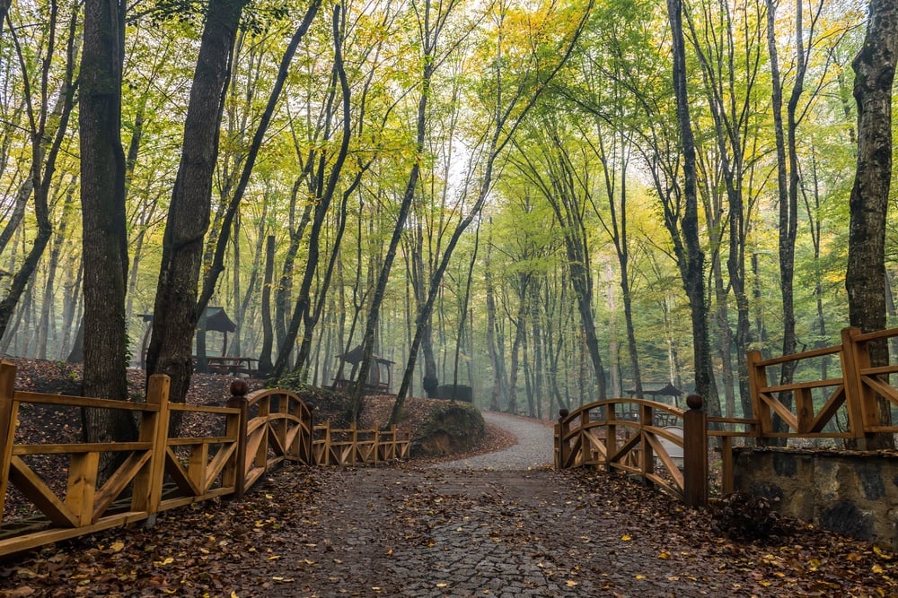 belgrad forest, istanbul