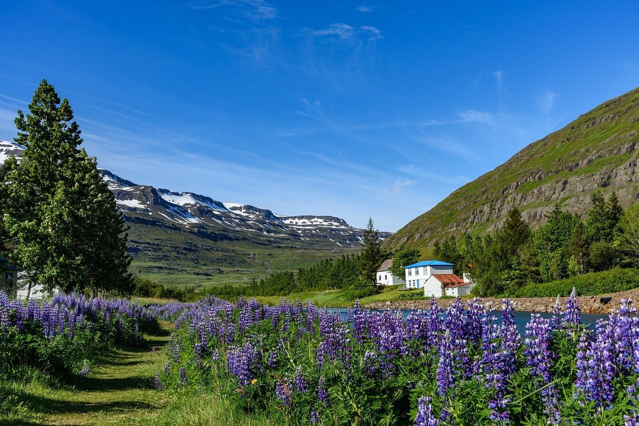 icelands ring road trip