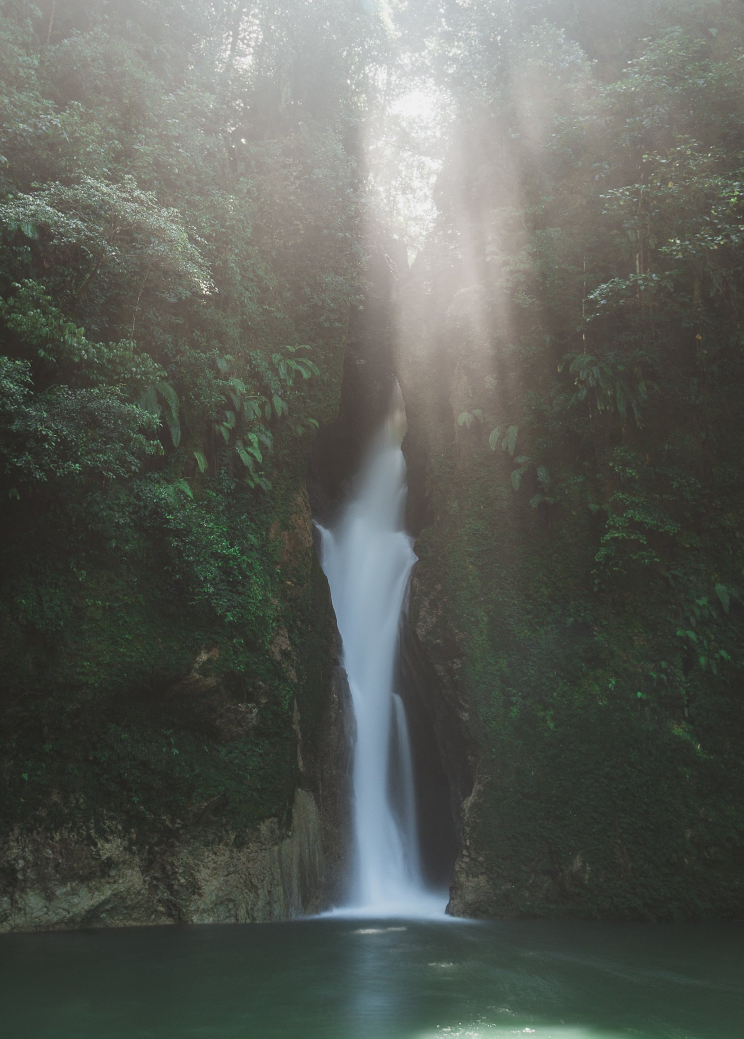 waterfalls and jungle
