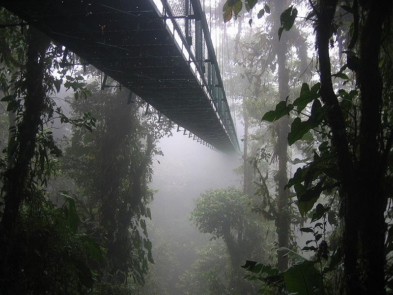 Monteverde Cloud Forest