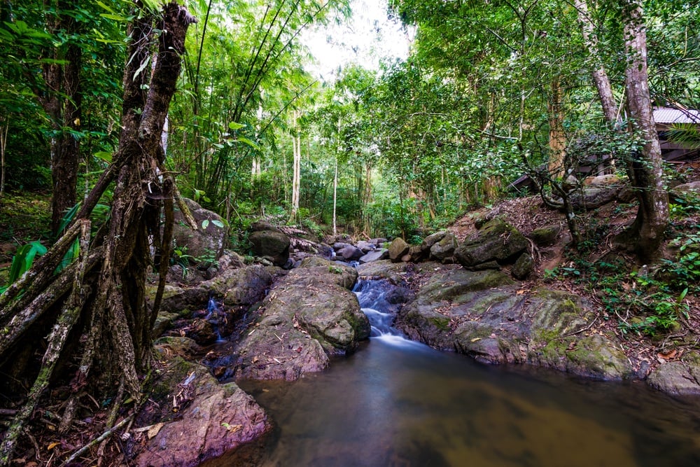 Bang Pae Waterfall