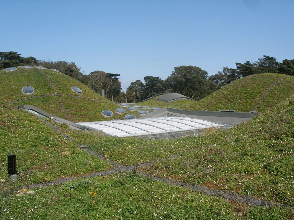 California Academy of Sciences