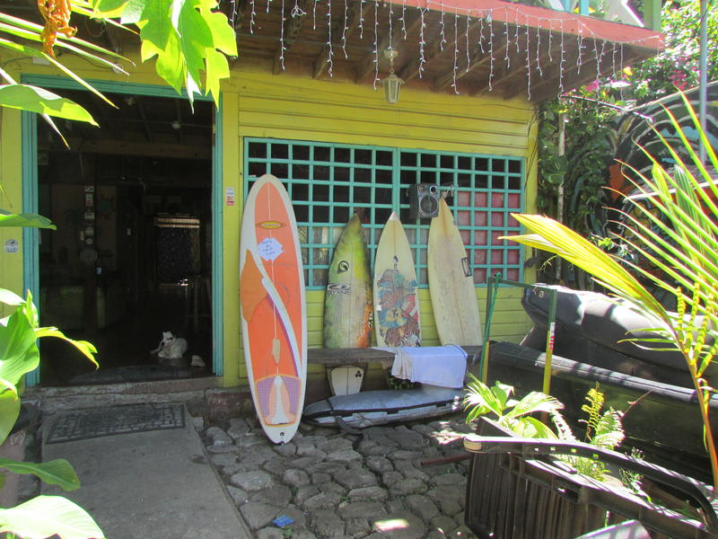 Coconut Hostel Bocas del Toro