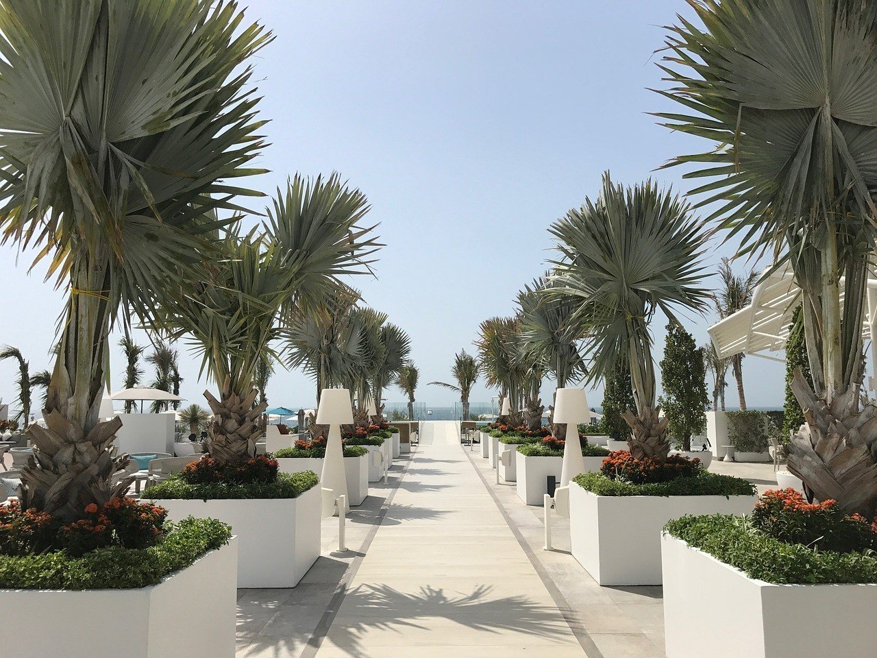 Explore the Palm Jumeirah Dubai