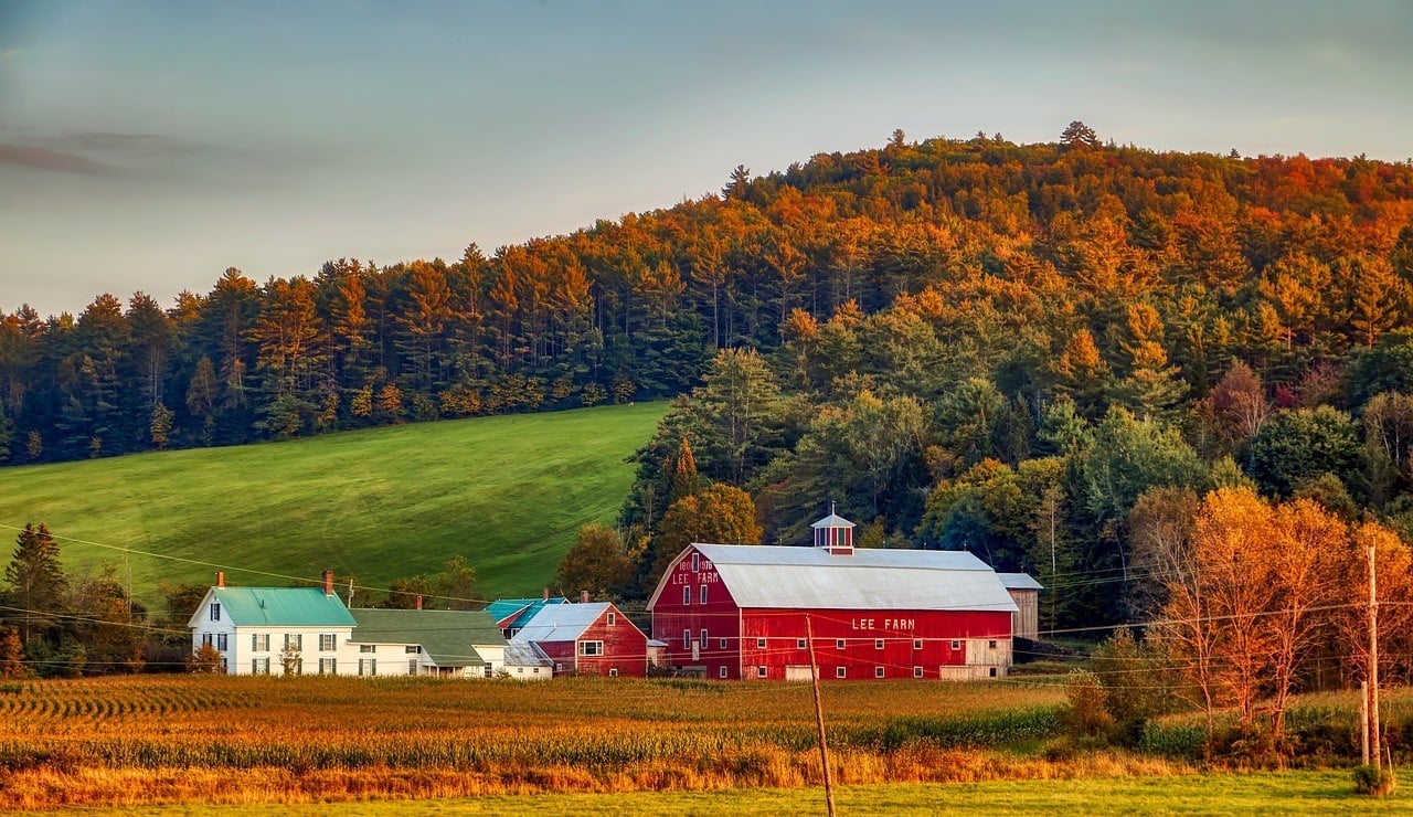 Farm Dairy New Hampshire New England America Barn