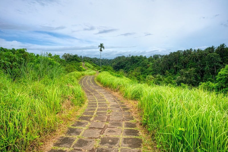 Campuhan Ridge Walk Bali