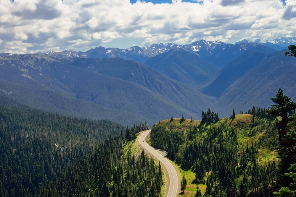 Hurricane Ridge - amazing northwestern USA road trip