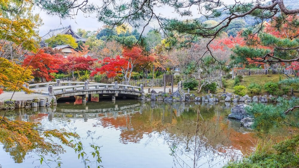 Maruyama Park, Kyoto