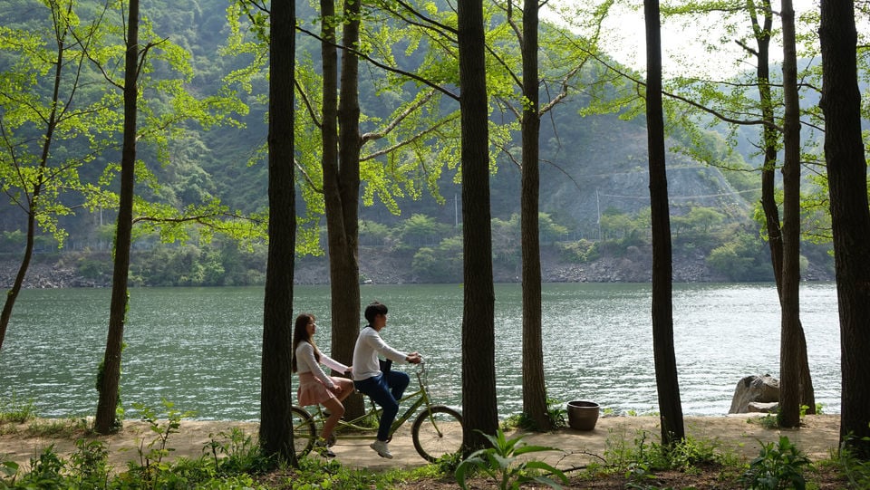 Nami Island, Korean Style Garden of Morning Calm & Rail Bike