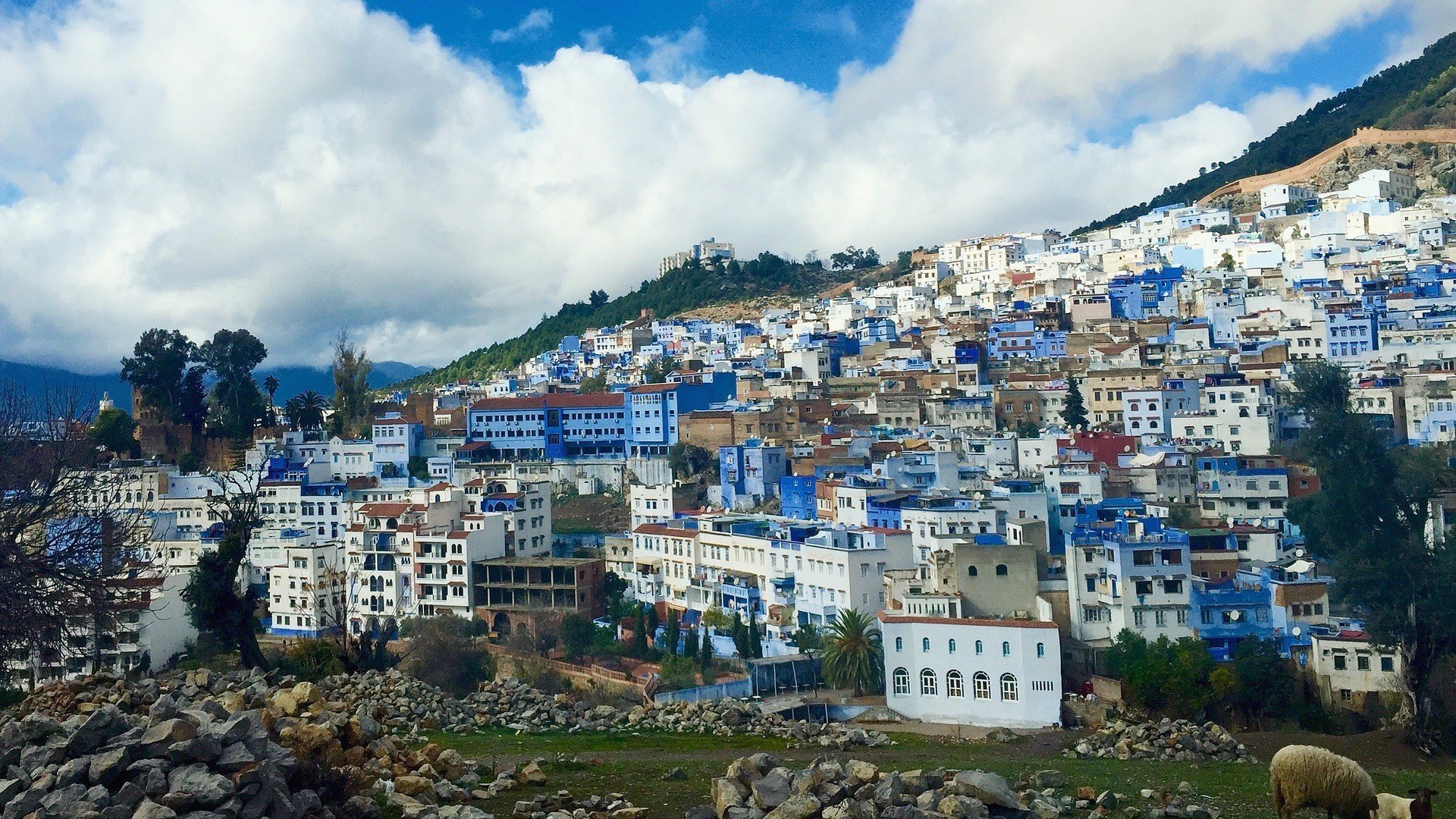 Old Medina, Casablanca