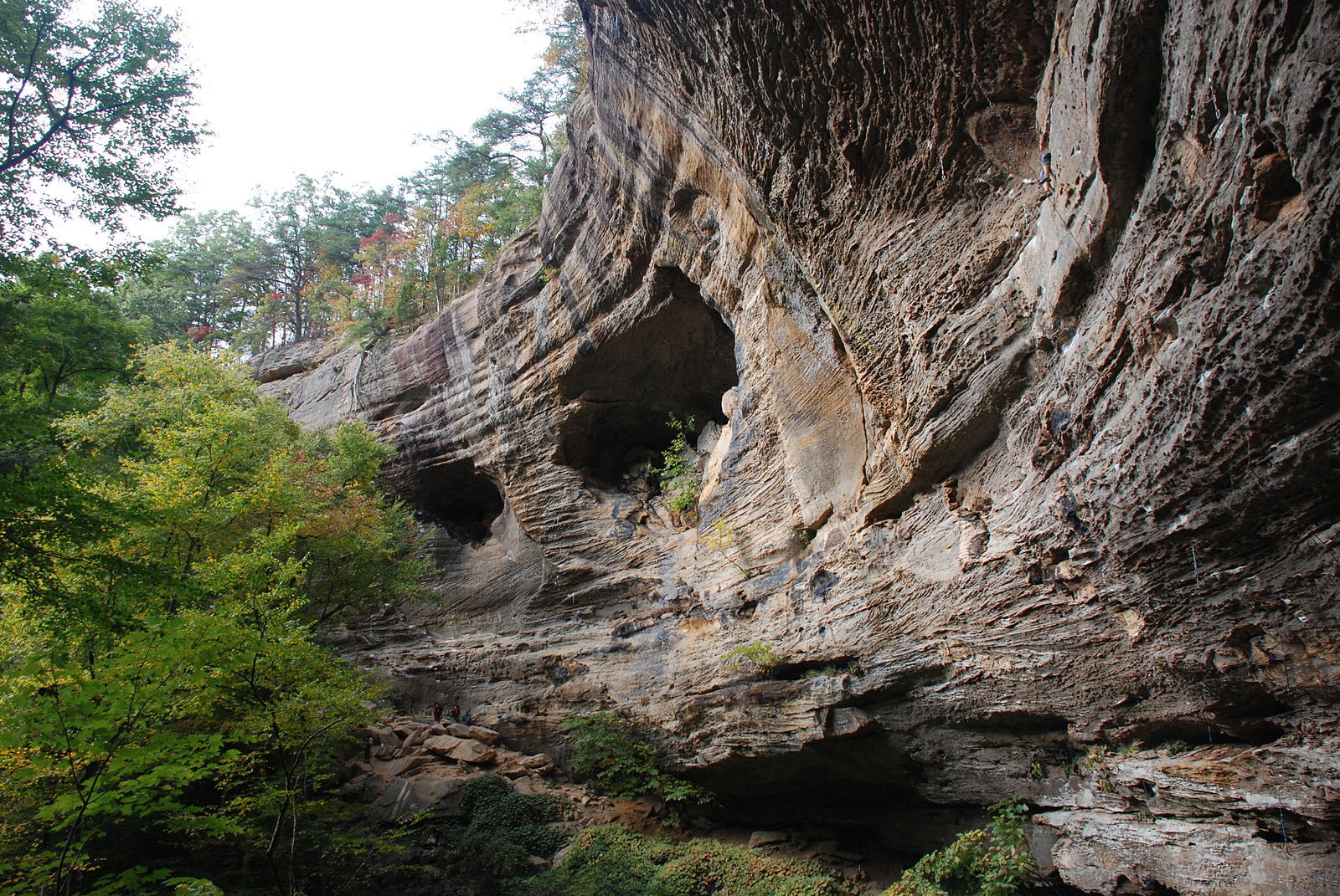 Kentucky wilderness - for some lesser-witnessed sightseeing in the USA