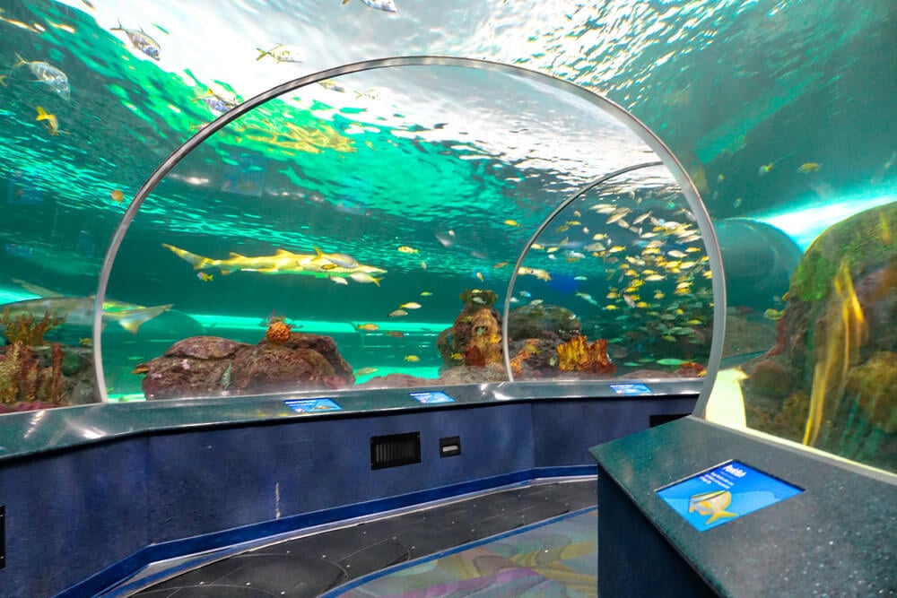 Ripleys Aquarium
