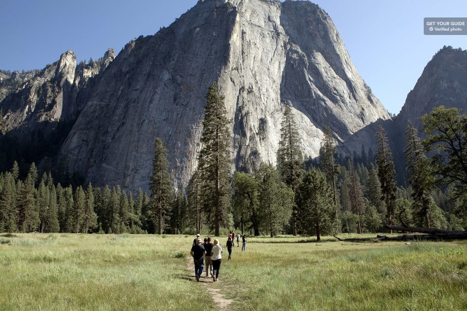 San Francisco to Yosemite Park Small Group Tour