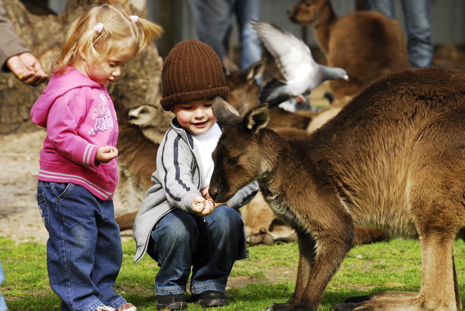 Sovereign Hill & Ballarat Wildlife Park