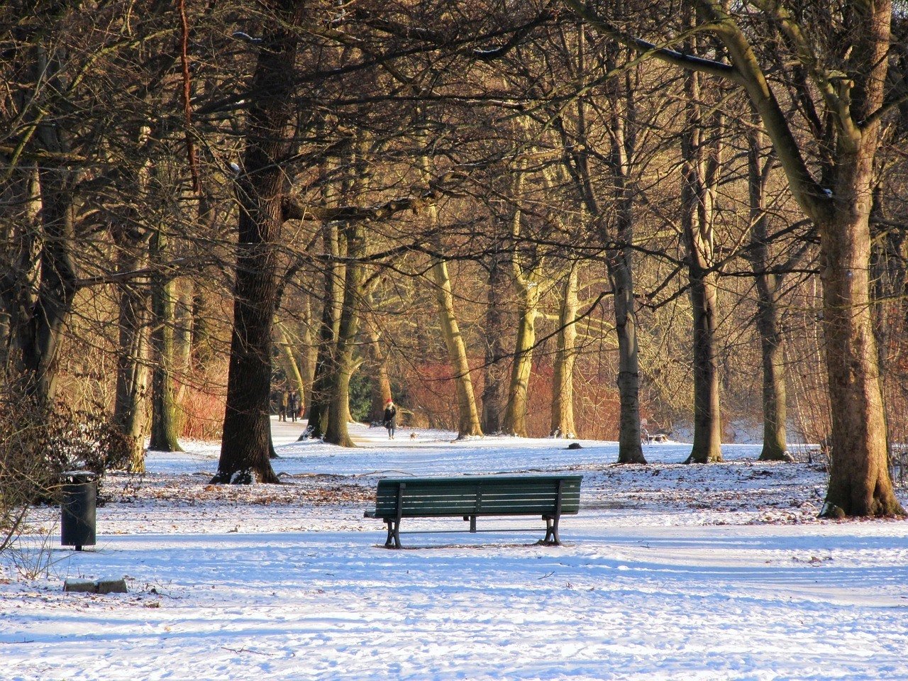 Tiergarten