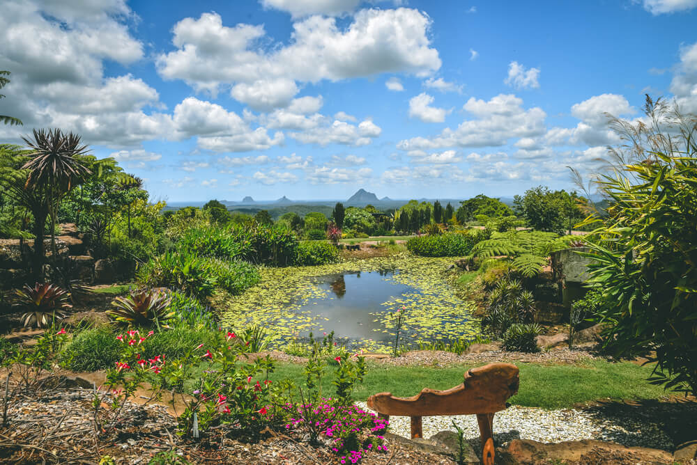 Visit the city Botanic Gardens in Brisbane