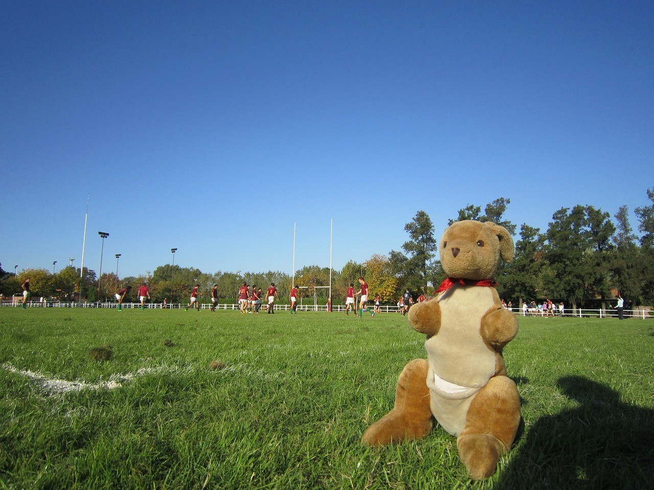 Brisbane sports