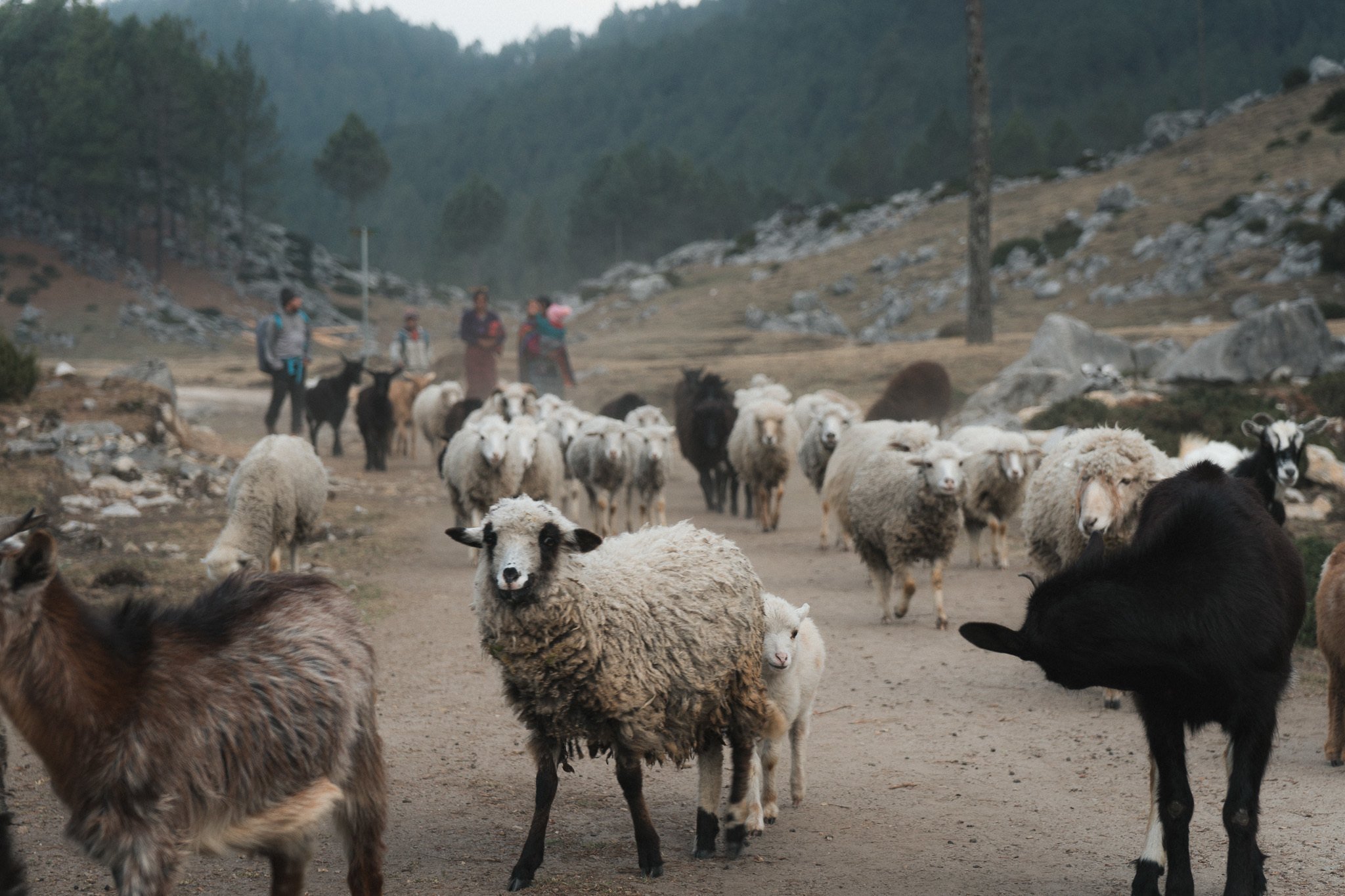 incredible hikes in Guatemala: hiking to Chortiz