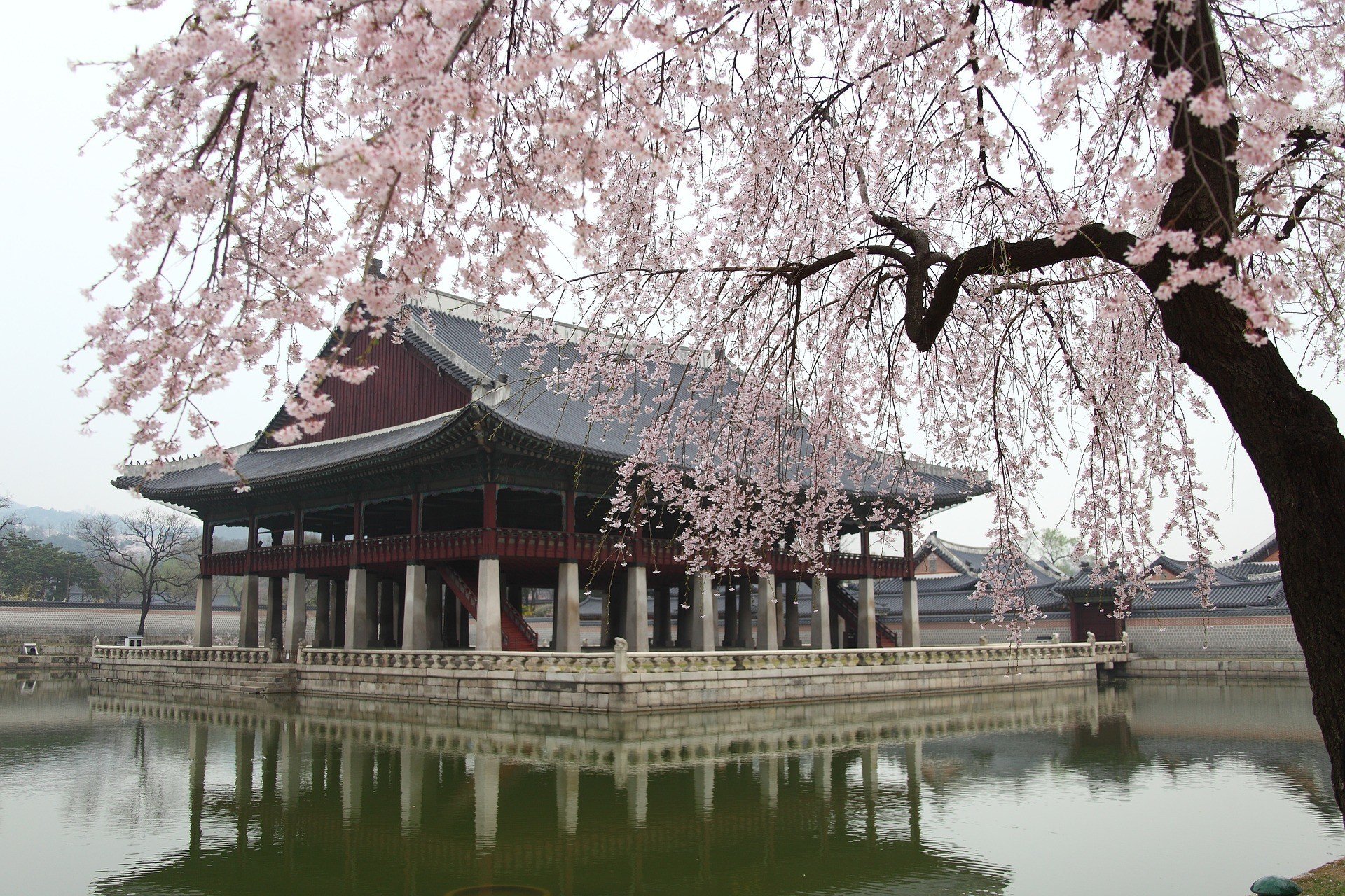 when to visit Seoul