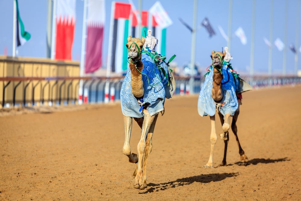 Al Marmoom Desert Conservation Reserve, Dubai