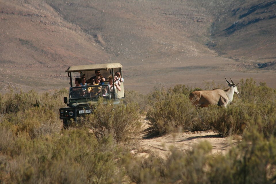 Aquila Game Reserve