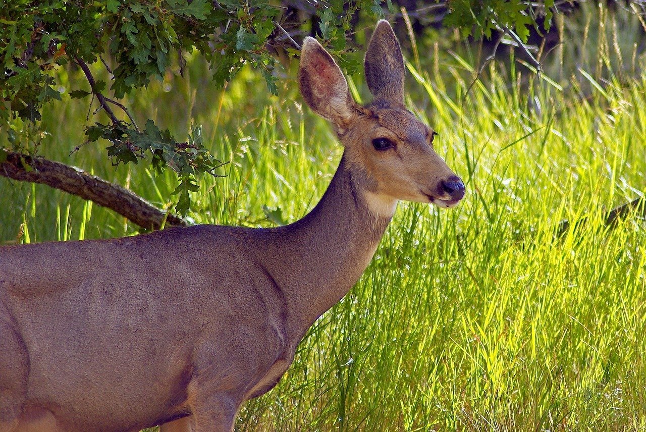 Browns Park National Wildlife Refuge 1