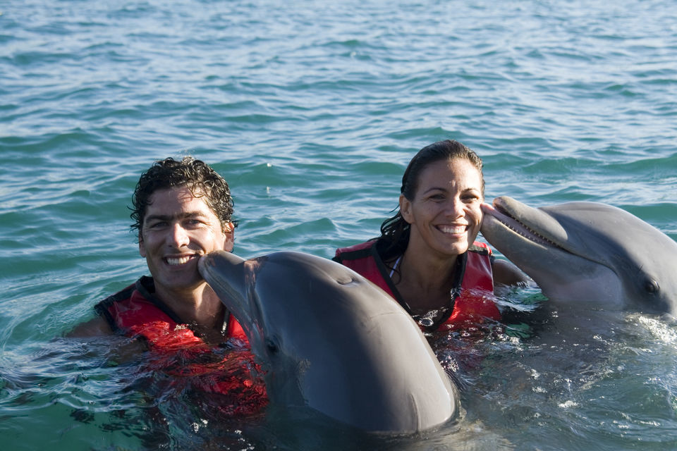 Catamaran Cruise Tour to Cayo Blanco with Dolphins