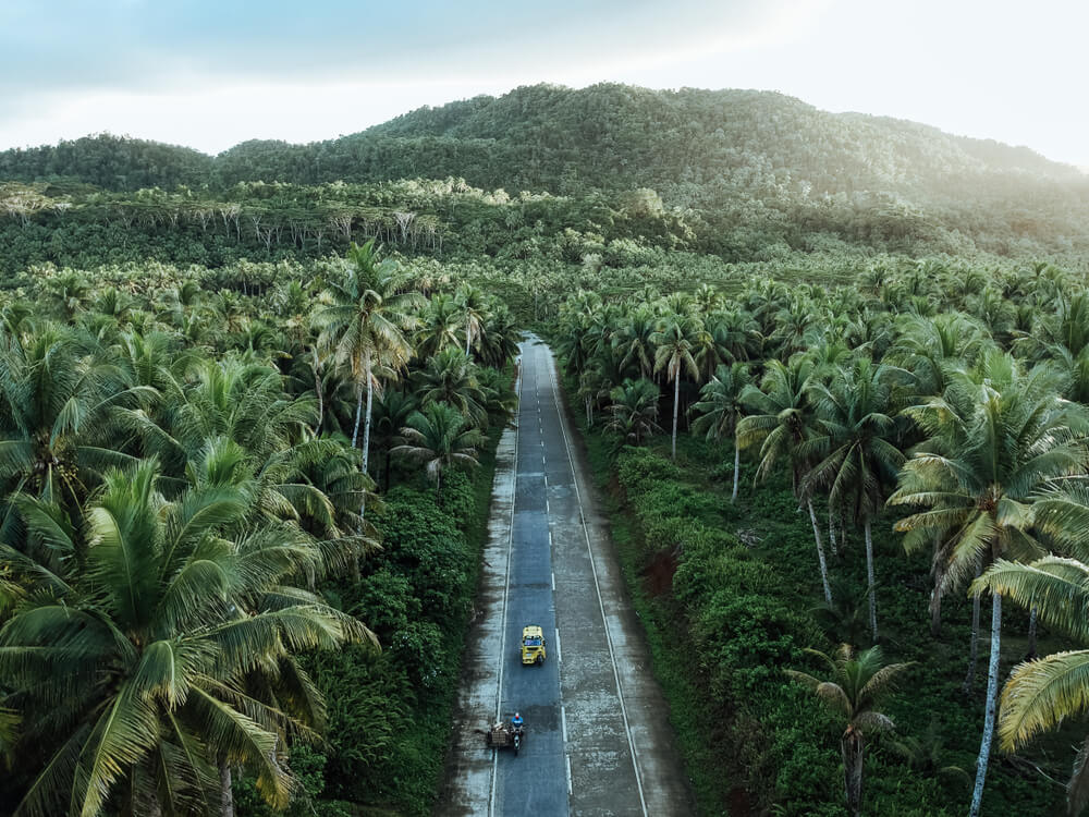 Coconut Road