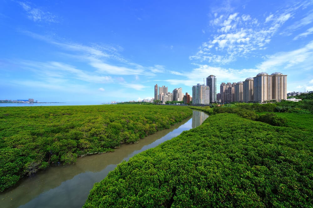 Danshui River Mangrove Nature Reserve