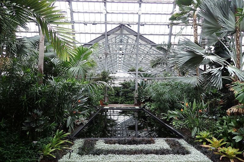 Garfield Park Conservatory