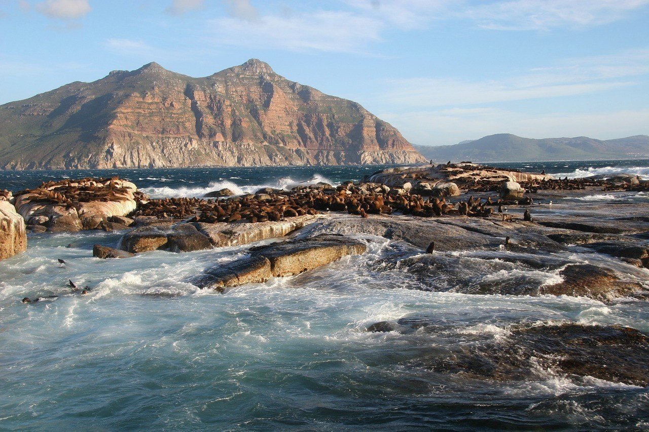 Insider Tips for an AMAZING Weekend in Cape Town