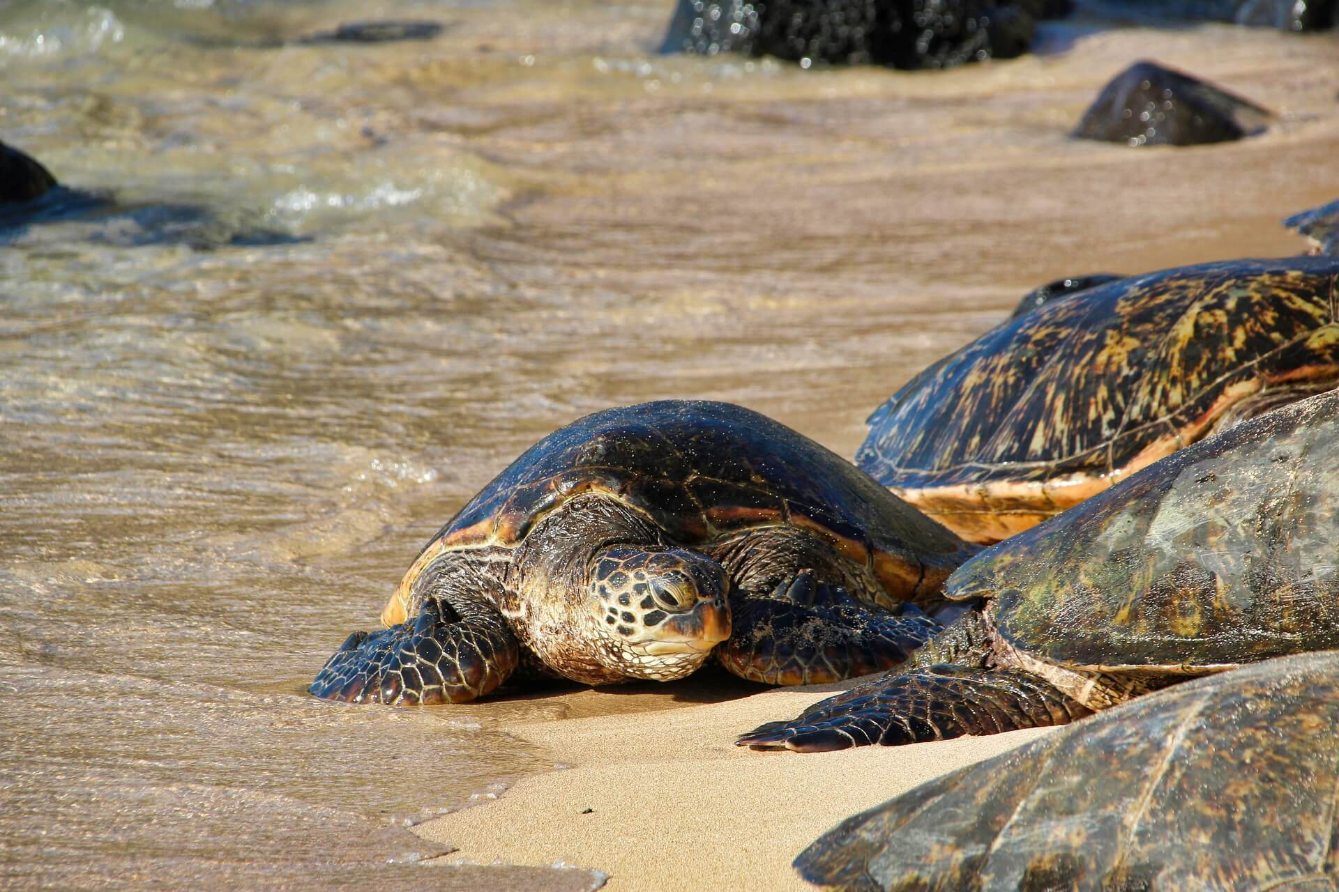 Maluaka Beach, Hawaii