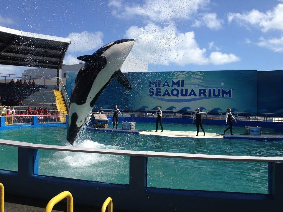 Miami Seaquarium