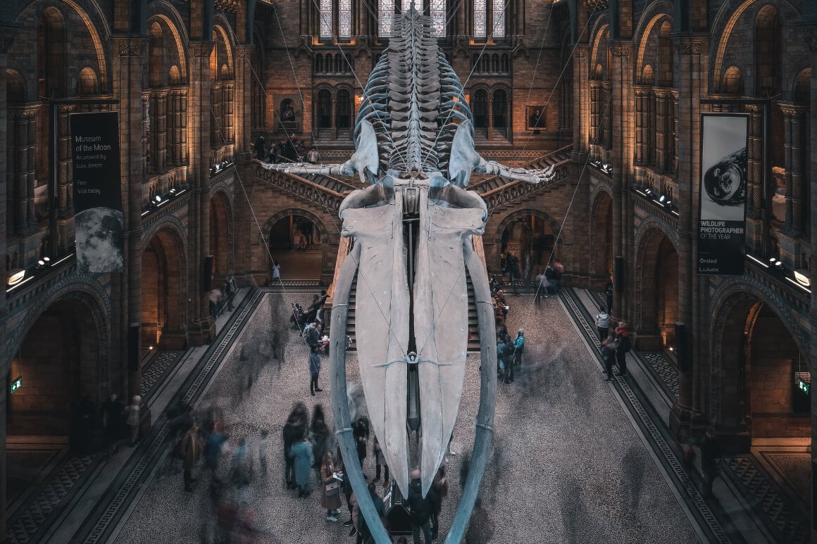 Natural History Museum