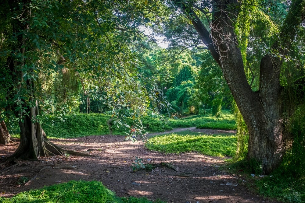 Parque Almendares Cuba