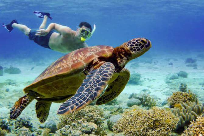 Pescador Island Marine Sanctuary