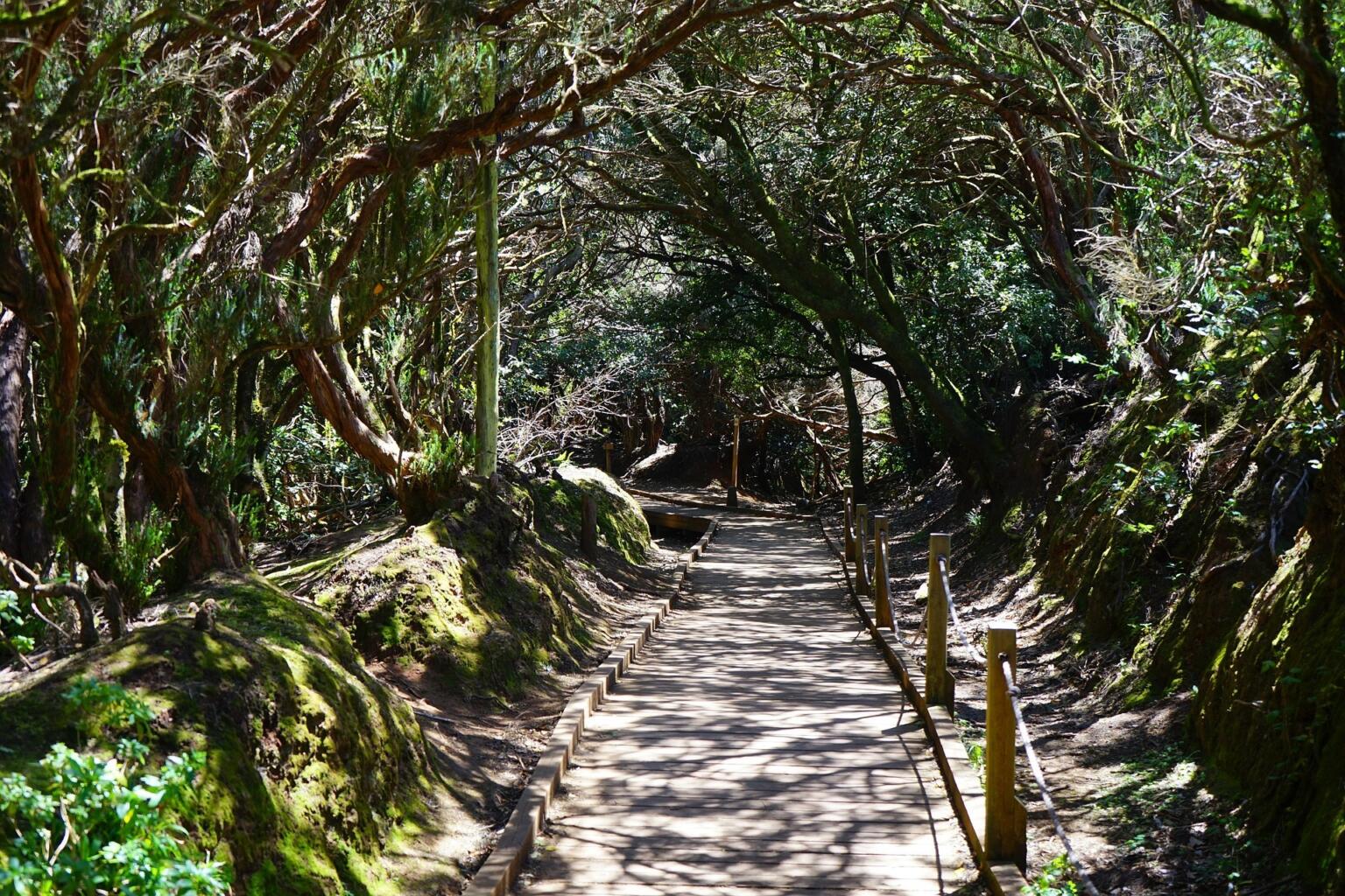 San Cristobal de La Laguna, Tenerife