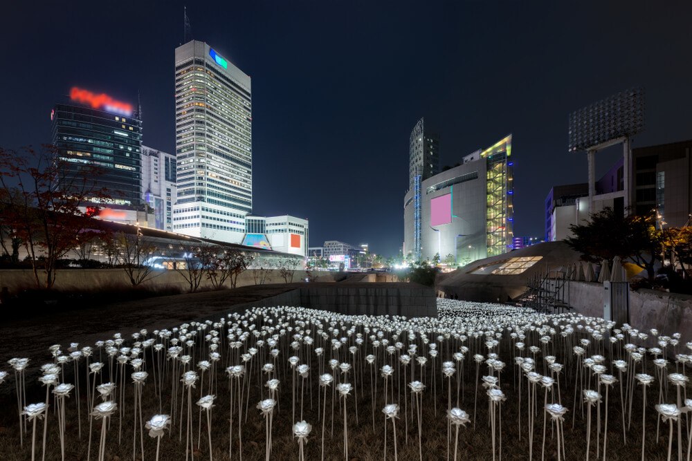 Seoul DDP White Rose Garden at night