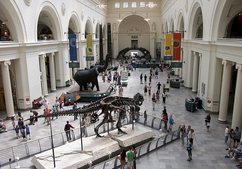 The Field Museum