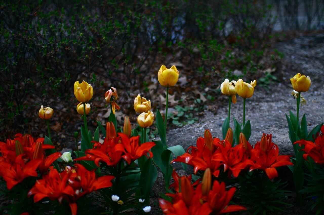 The Seoul Museum of Art flower exhibit