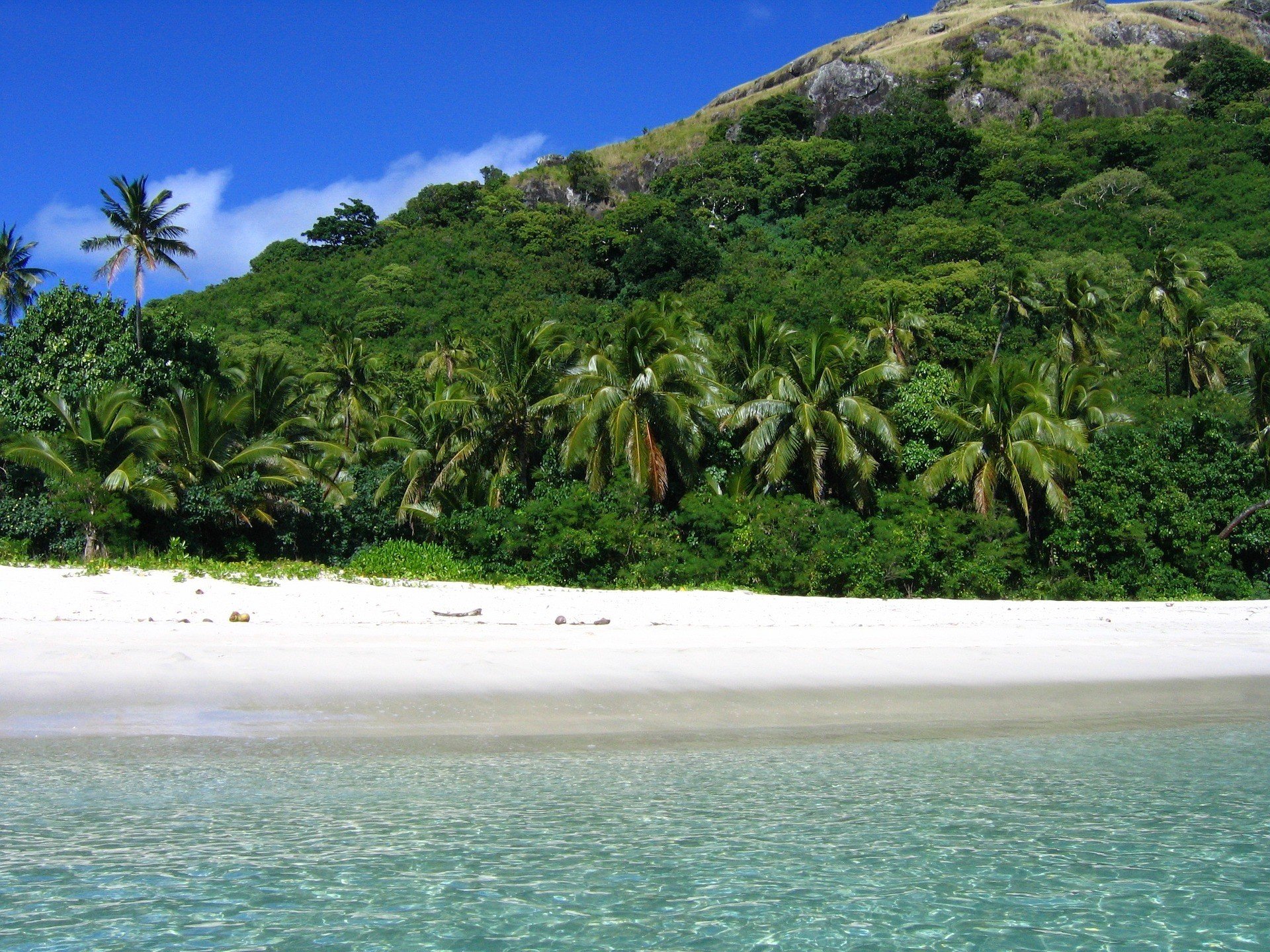 white sand beach with coconut trees seen on the Yasawa Islands while staying in Fiji