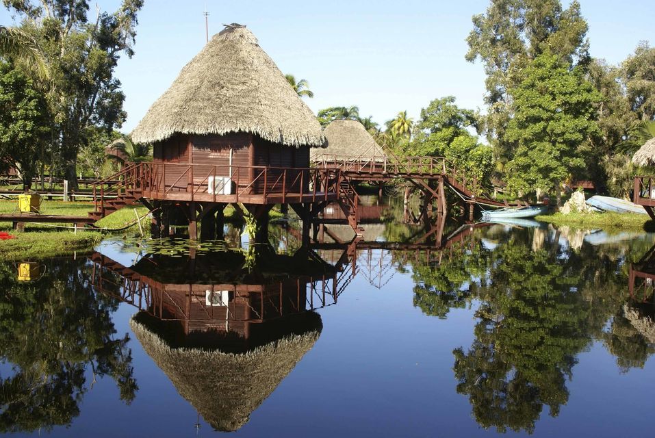 Tour to the Caribbean and Crocodile Farm