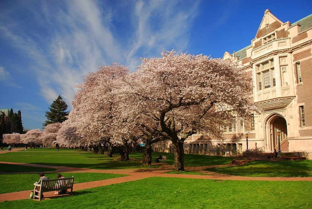 University of Washington